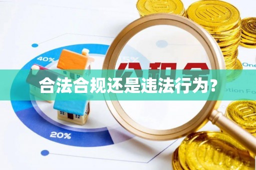 安丘合法合规还是违法行为？