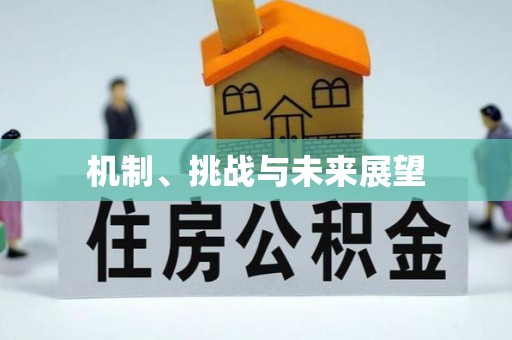 安丘机制、挑战与未来展望